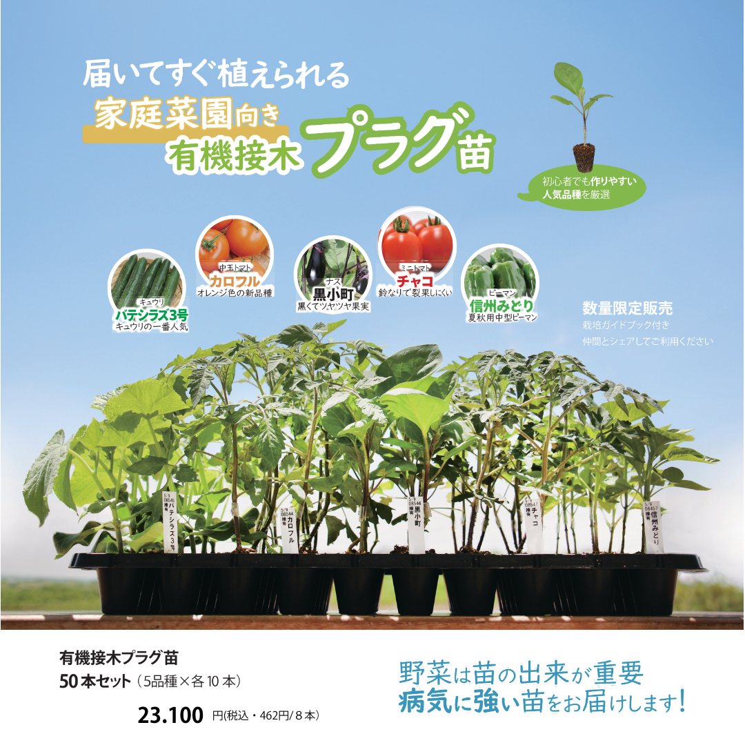 ご予約苗 2025年春用 家庭菜園 有機の苗を販売いたします。 | 大和肥料株式会社